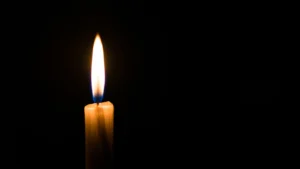 Understanding Grief Counseling and the Journey Through Loss