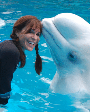 Ellen Chernoff Simon