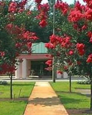 Fraser Counseling Center
