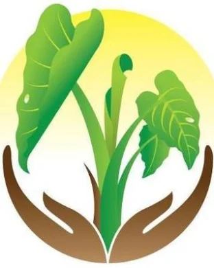 Hooko Llc