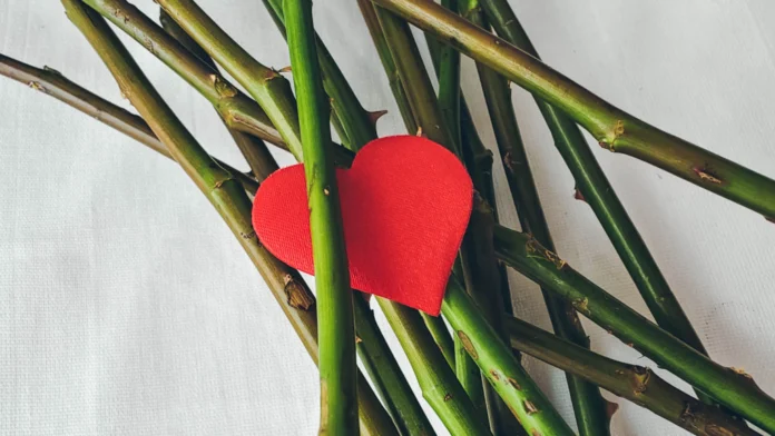 A heart surrounded by thorns, suggesting an abusive relationship. Therapy for trauma bonding can boost self-esteem and give you the courage to leave an abusive relationship.